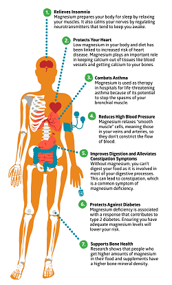 picture of human body and how magnesium helps